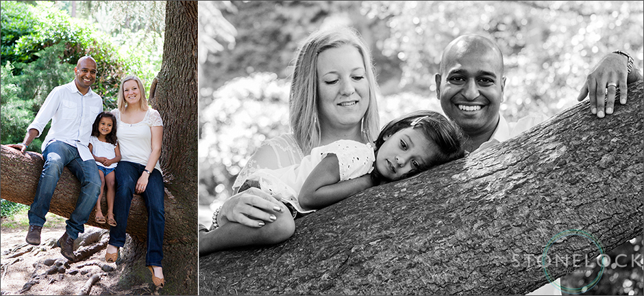 A family photos shoot in Coombe Wood, Croydon. Mum, Dada and the three year old girl sit on a branch of a large tree