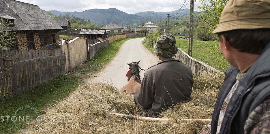Maramures men transporting hay by horse and cart, Botiza Village, Maramures, Romania, 